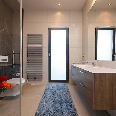 Vila Birdhouse Labinci